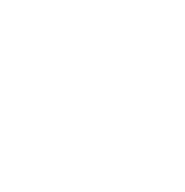 Instituto Novo Ser
